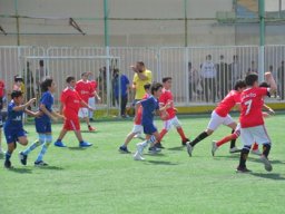 MIS Sports